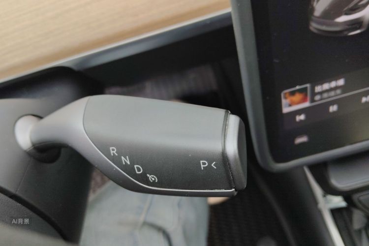 Tesla Model 3 2020 car image #16