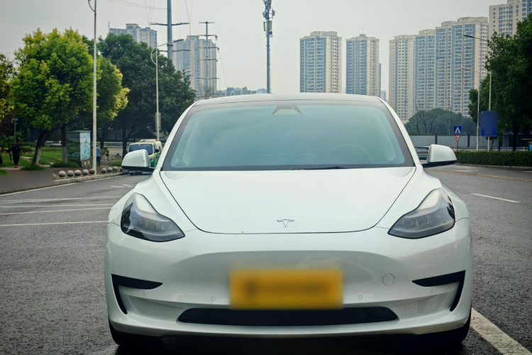 Tesla Model 3 2021 #4 Tesla Model 3 2021 car image #4