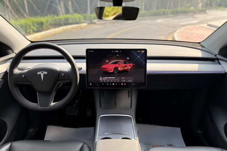 Tesla Model Y 2025 car image #15