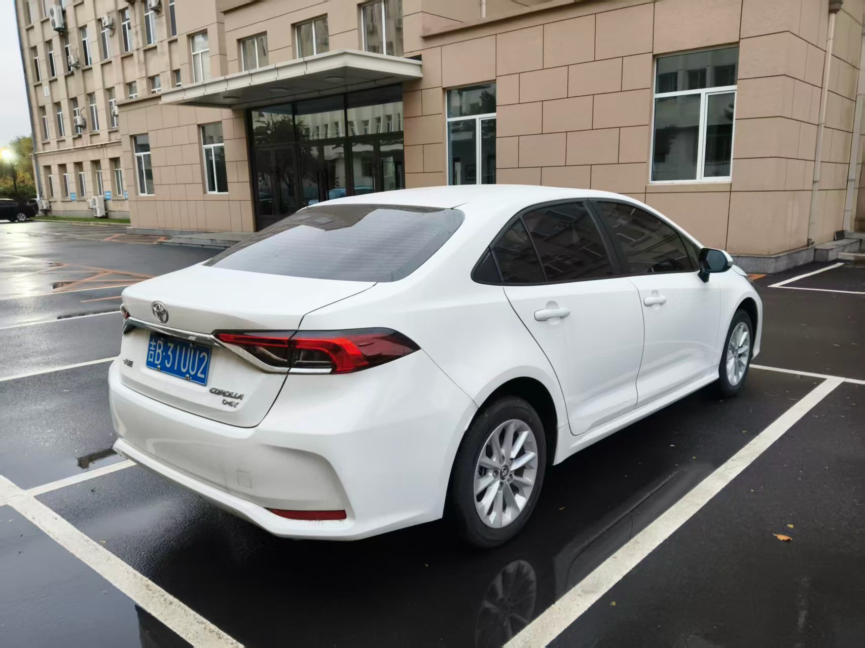 Toyota Corolla 2023 #5 Toyota Corolla 2023 car image #5