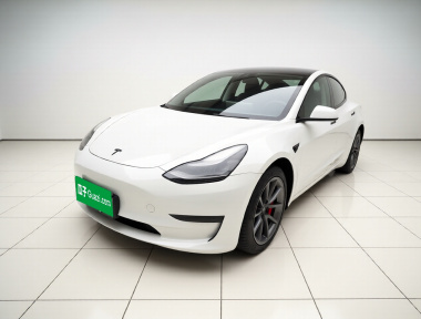 Tesla Model 3 2021 Tesla Model 3 2021 car image