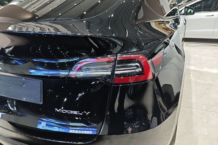 Tesla Model Y 2023 #8 Tesla Model Y 2023 car image #8