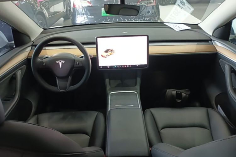 Tesla Model Y 2021 car image #10