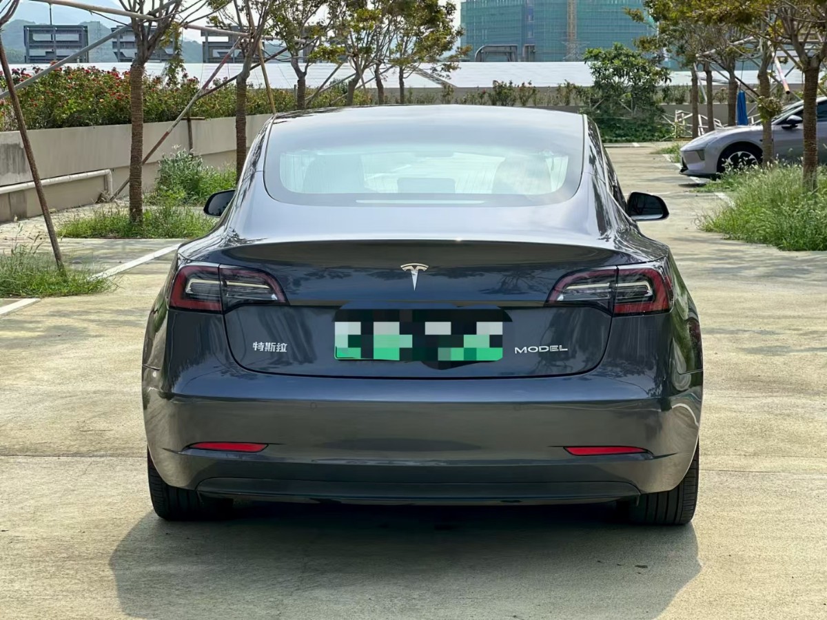 Tesla Model 3 2020 #8 Tesla Model 3 2020 car image #8