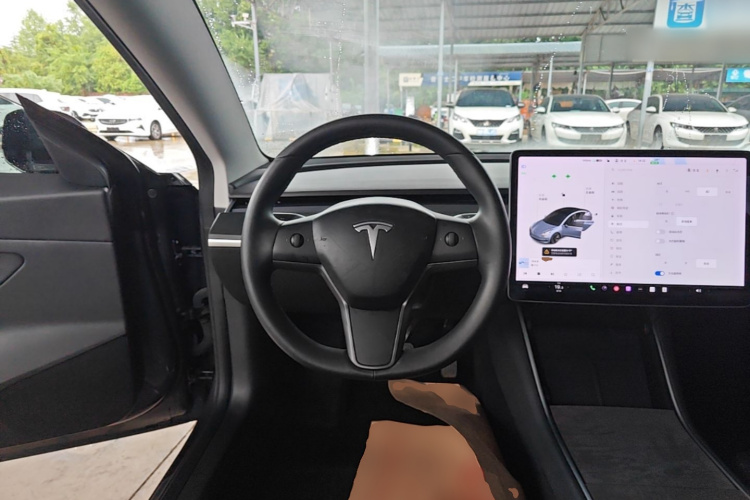 Tesla Model 3 2020 car image #11