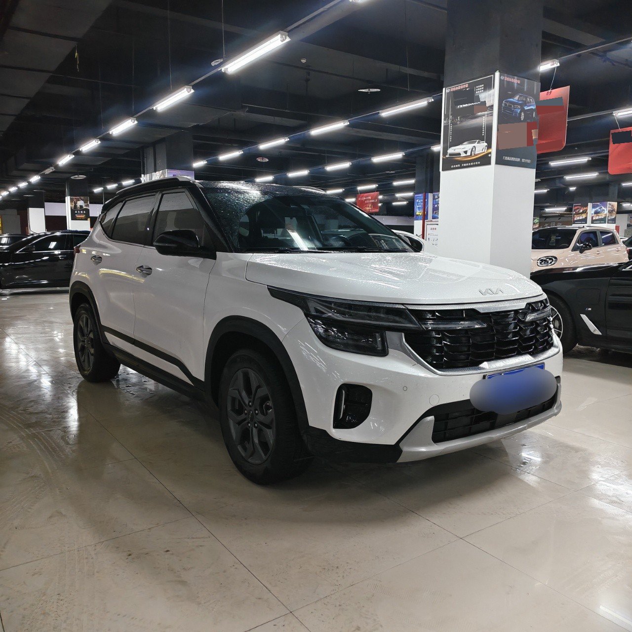 Kia Seltos 2023 immagine di auto #3