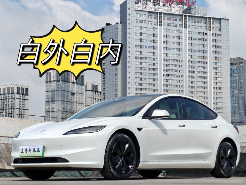 Tesla Model 3 2023 Tesla Model 3 2023 car image