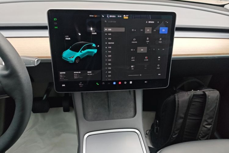 Tesla Model Y 2021 #13 Tesla Model Y 2021 car image #13