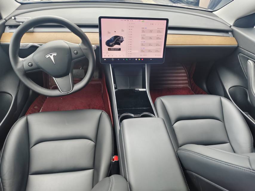 Tesla Model 3 2021 car image #4