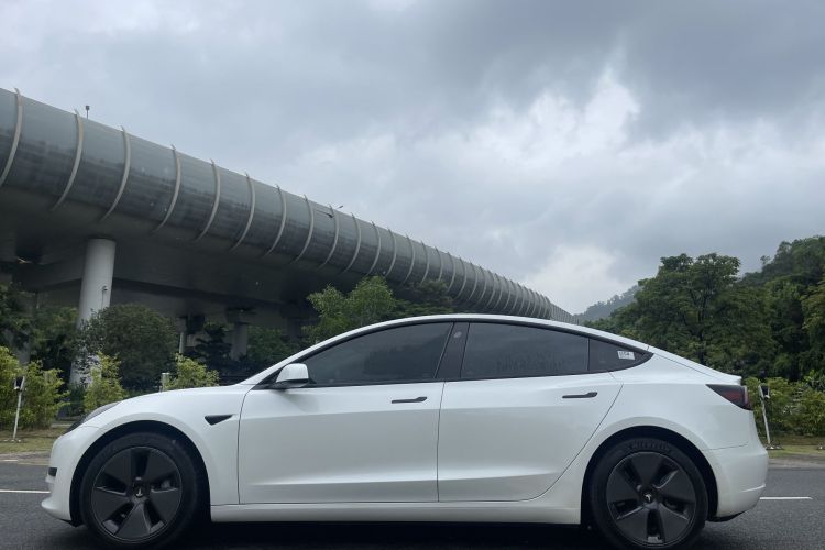 Tesla Model 3 2023 #5 Tesla Model 3 2023 car image #5