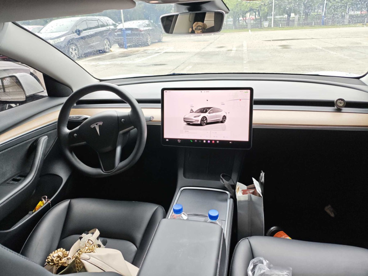 Tesla Model 3 2023 car image #5