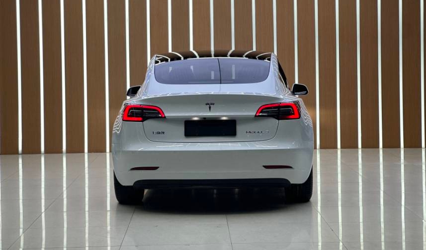 Tesla Model 3 2020 #3 Tesla Model 3 2020 car image #3