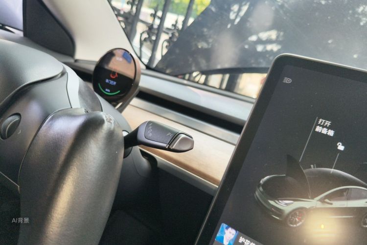 Tesla Model 3 2021 car image #16