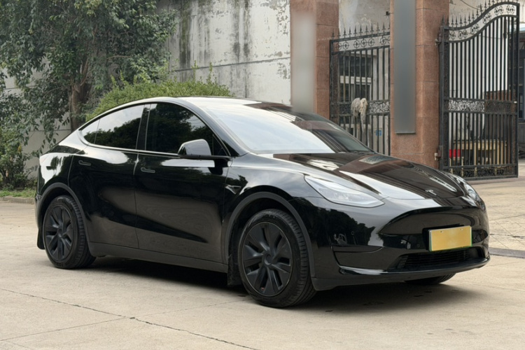 Tesla Model Y 2023 #10 Tesla Model Y 2023 car image #10
