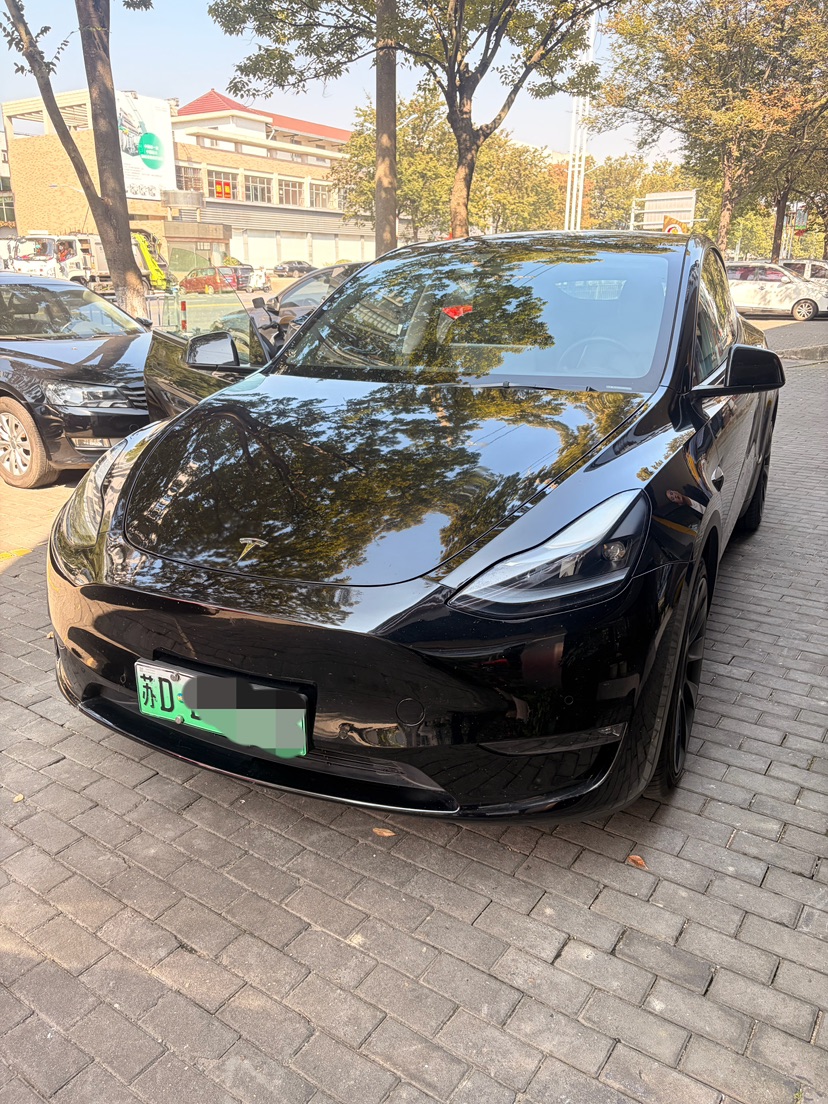 Tesla Model Y 2021 Tesla Model Y 2021 car image