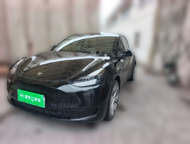 Tesla Model Y 2022 Tesla Model Y 2022 car image