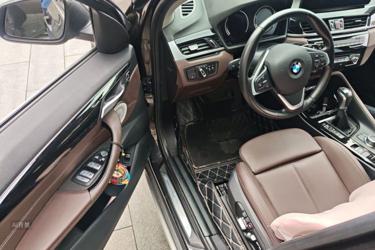 BMW X1 New Energy 2021 car image #18