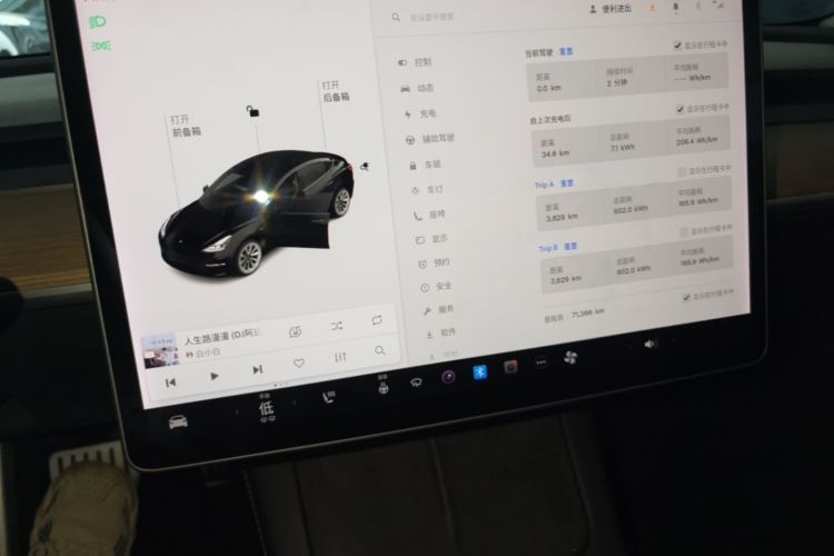 Tesla Model 3 2021 #12 Tesla Model 3 2021 car image #12