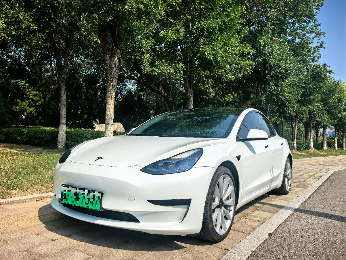 Tesla Model 3 2021 Tesla Model 3 2021 car image