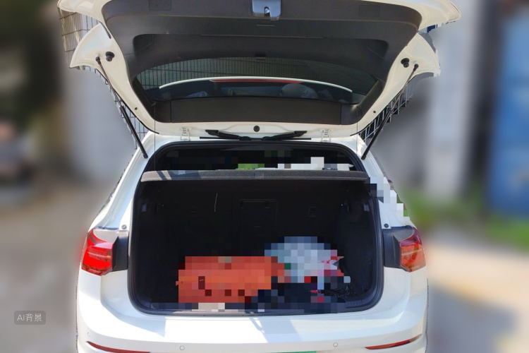 Volkswagen Golf 2021 car image #21