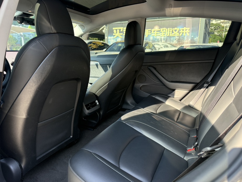 Tesla Model 3 2023 #8 Tesla Model 3 2023 car image #8