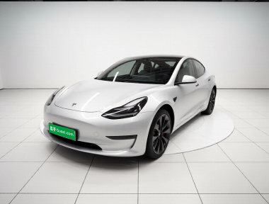 Tesla Model 3 2022 car image 