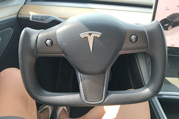 Tesla Model Y 2022 immagine di auto #15