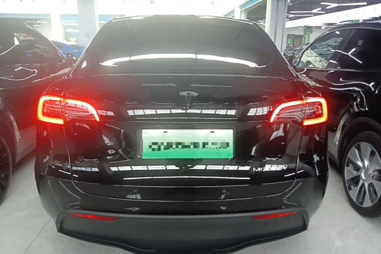 Tesla Model Y 2021 car image #6