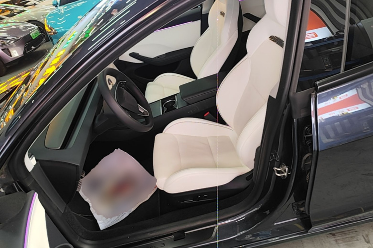 Tesla Model 3 2024 car image #15