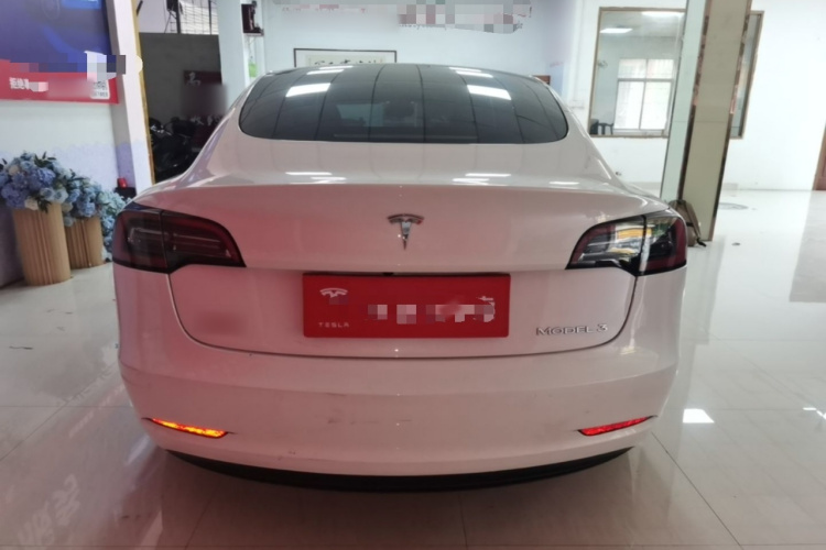 Tesla Model 3 2022 #6 Tesla Model 3 2022 immagine di auto #6