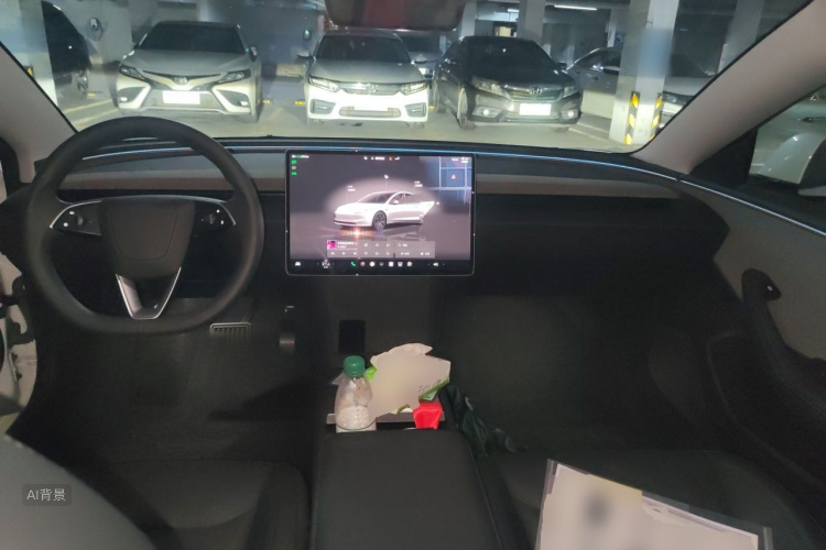 Tesla Model 3 2025 car image #11