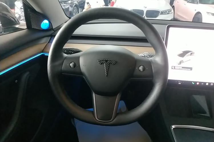 Tesla Model 3 2021 car image #11