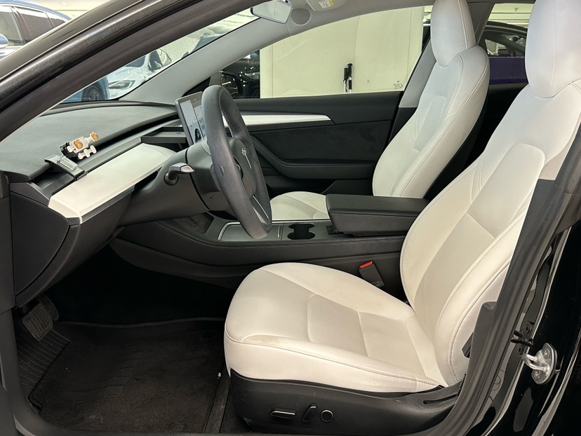 Tesla Model 3 2021 car image #6