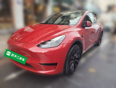 Tesla Model Y 2022 Tesla Model Y 2022 car image