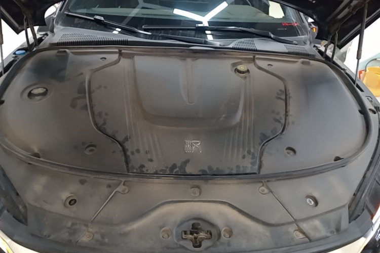 BYD Han 2024 car image #20