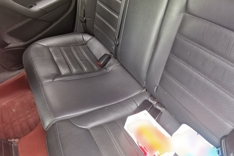 Volkswagen Polo 2015 car image #19
