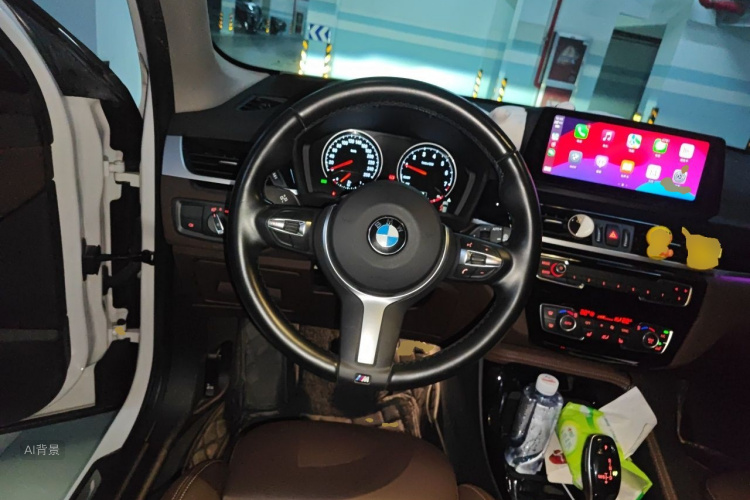 BMW X1 2021 car image #12