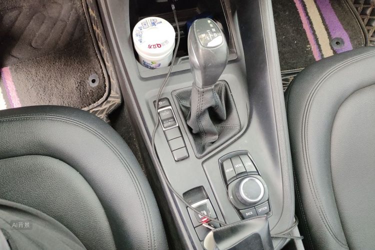 BMW X1 2018 car image #16