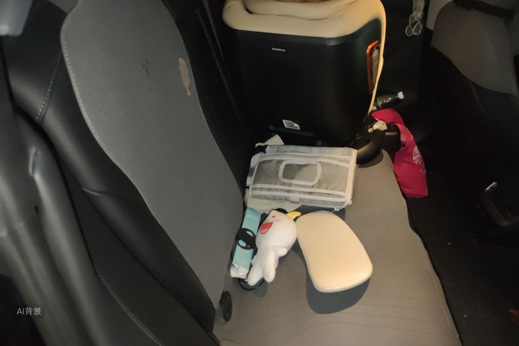 Tesla Model 3 2023 car image #19