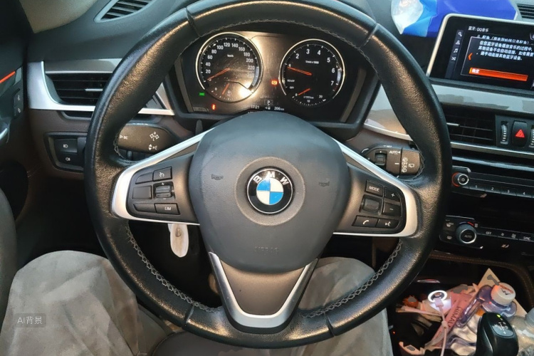 BMW X1 2019 #12 BMW X1 2019 imagen de coche #12