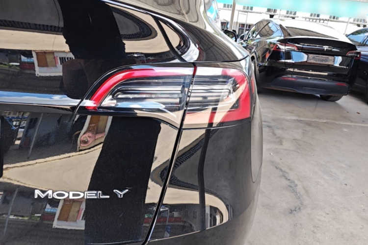 Tesla Model Y 2021 #8 Tesla Model Y 2021 car image #8