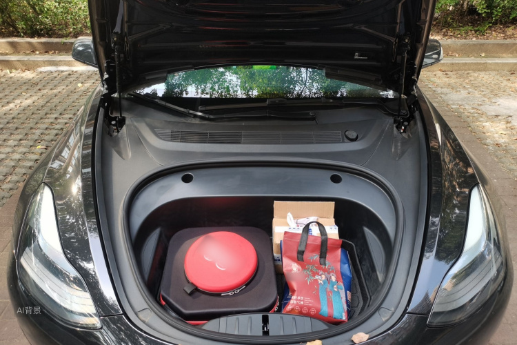 Tesla Model 3 2022 car image #22