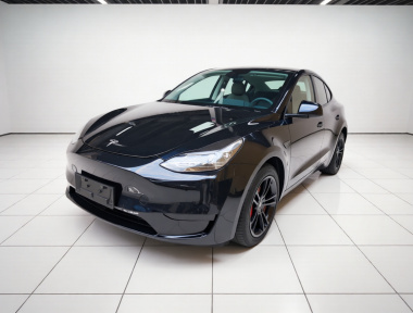 Tesla Model Y 2023 Tesla Model Y 2023 car image