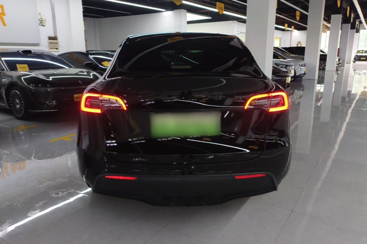 Tesla Model Y 2023 car image #6