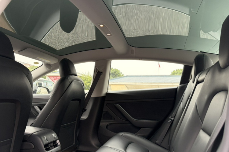 Tesla Model 3 2020 imagem de carro #24