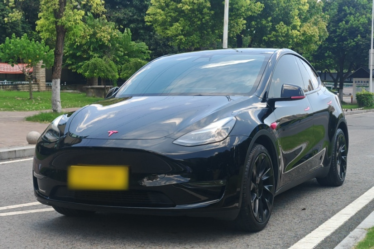 Tesla Model Y 2021 #2 Tesla Model Y 2021 car image #2