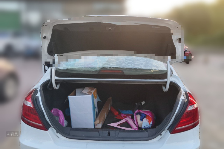 GEELY Emgrand 2016 car image #21