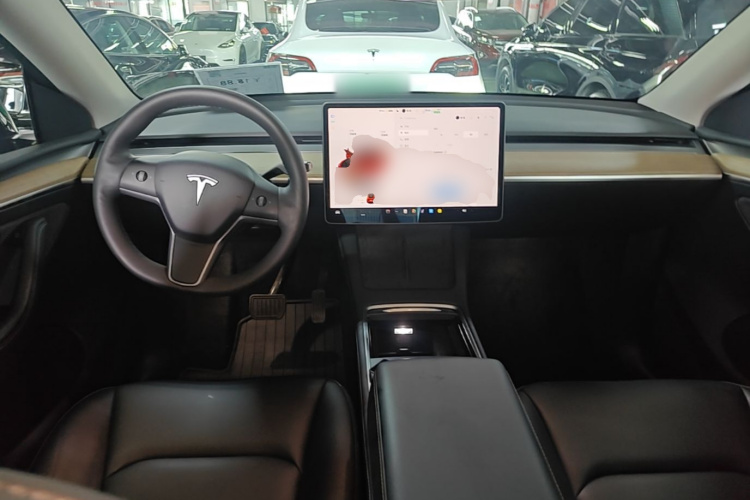 Tesla Model Y 2023 car image #10