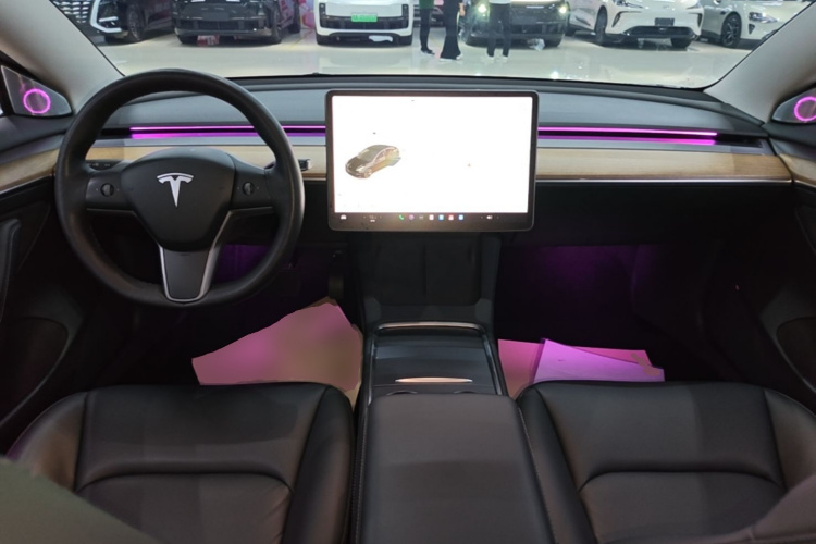 Tesla Model 3 2021 car image #10