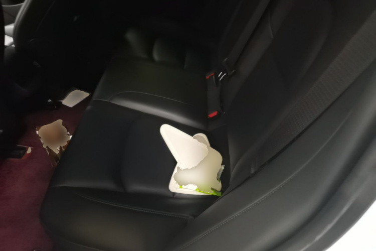 Tesla Model 3 2020 car image #17